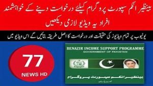 How to check benazir income 2023